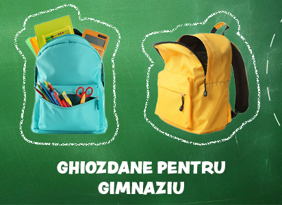 Ghiozdane pentru gimnaziu