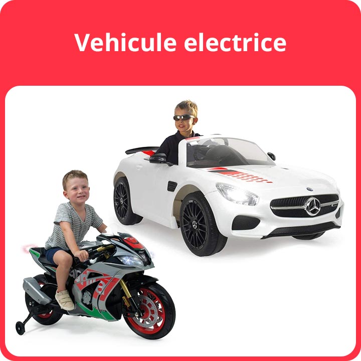 Vehicule electrice