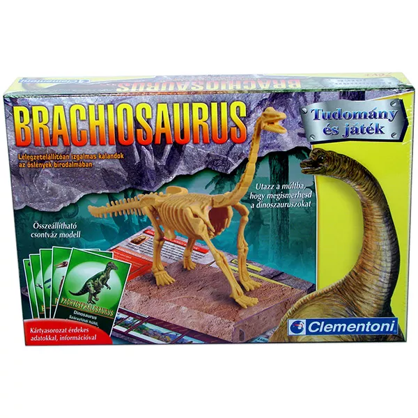 Brachiosaurus csontváz
