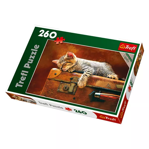 A cica édes álma 260 db-os puzzle