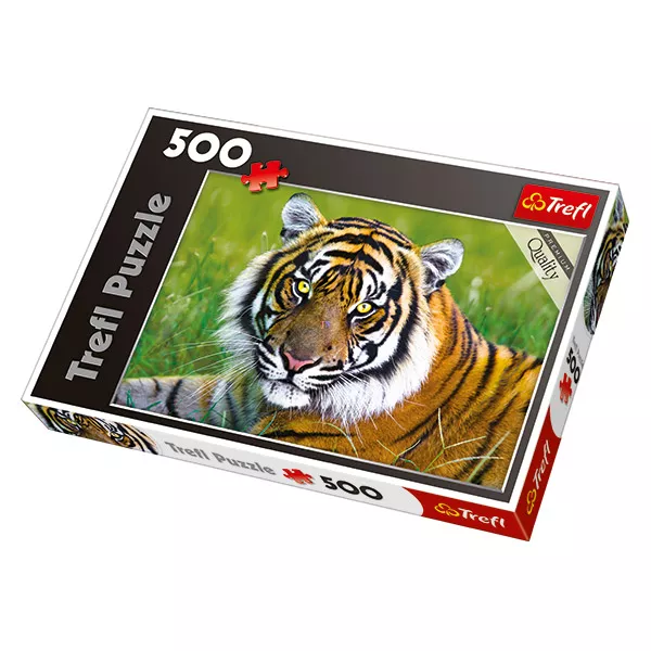 Fekvő tigris 500 db-os puzzle