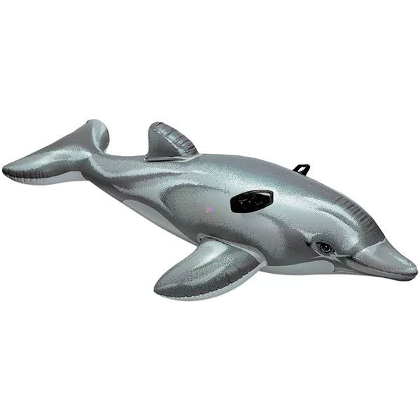 Felfújható kis palackorrú delfin lovagló