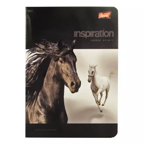 Inspiration lovas A5-ös vonalas 2. osztályos füzet - fekete 16-32