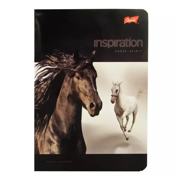 Inspiration lovas A5-ös vonalas 3. osztályos füzet - fekete 12-32