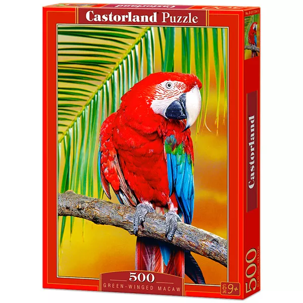 Zöld szárnyú arapapagáj - 500 darabos puzzle
