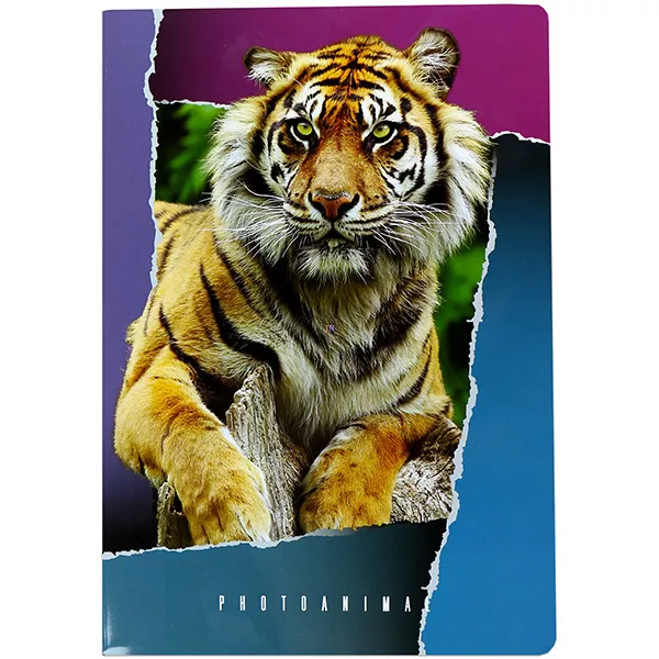 Photo Animal A4-es négyzetrácsos füzet - tigris, 27-32