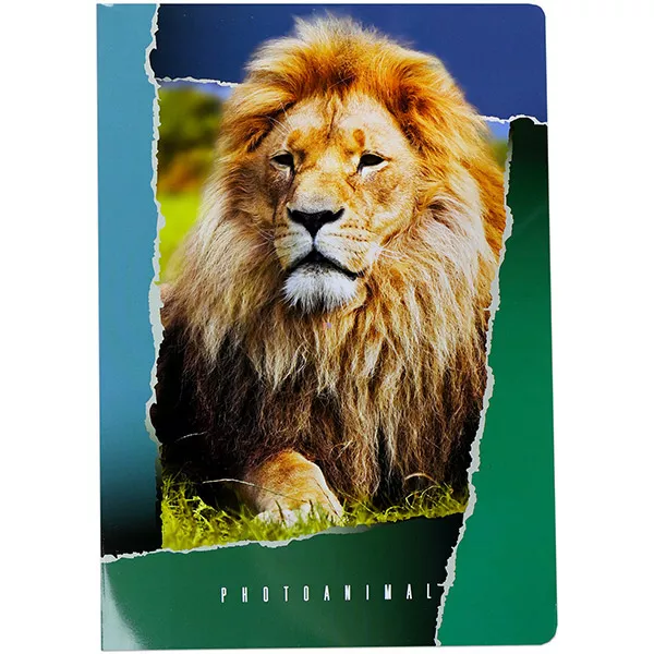 Photo Animal A4-es négyzetrácsos füzet - oroszlán, 27-32