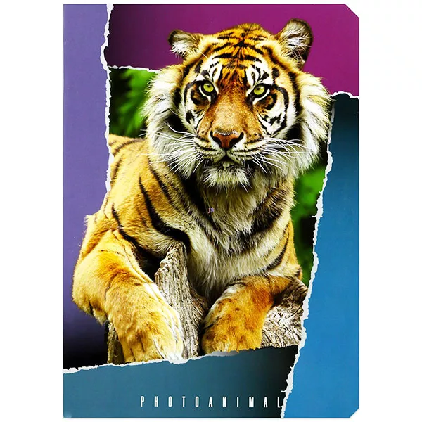 Photo Animal A5-ös sima füzet - tigris, 20-32
