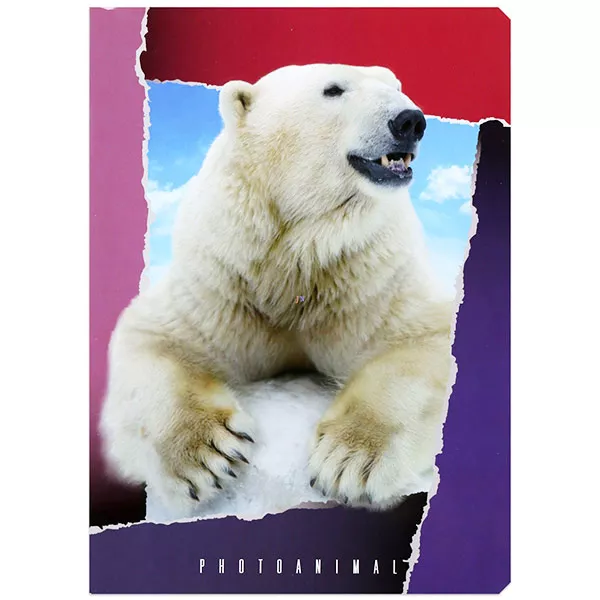 Photo Animal A5-ös sima füzet - jegesmedve, 20-32