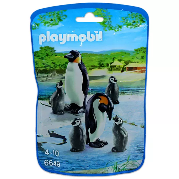 Pingvin kolónia - 6649