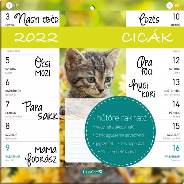 Calendar magnetic Pisici - 2022, în lb. maghiară