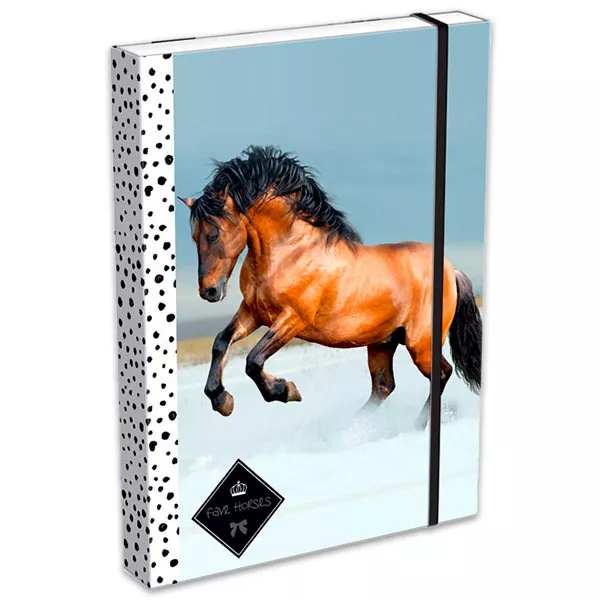 GEO: barna lovas füzetbox - A4, fekete
