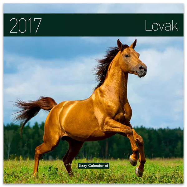 Lovak közepes lemeznaptár - 2017