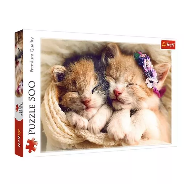 Pisicuţe dormind pe blană puzzle cu 500 piese