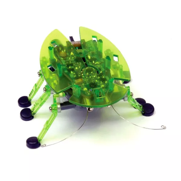 Hexbug - Bravo zöld robot bogár 