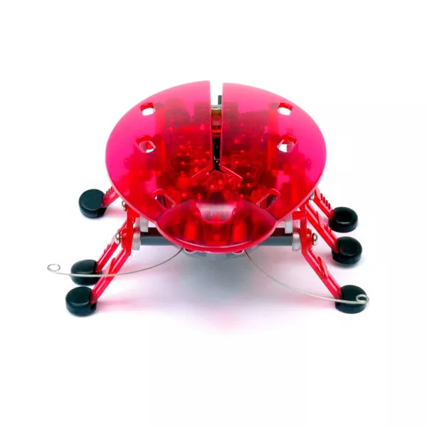 Hexbug - Echo rózsaszín robot bogár 