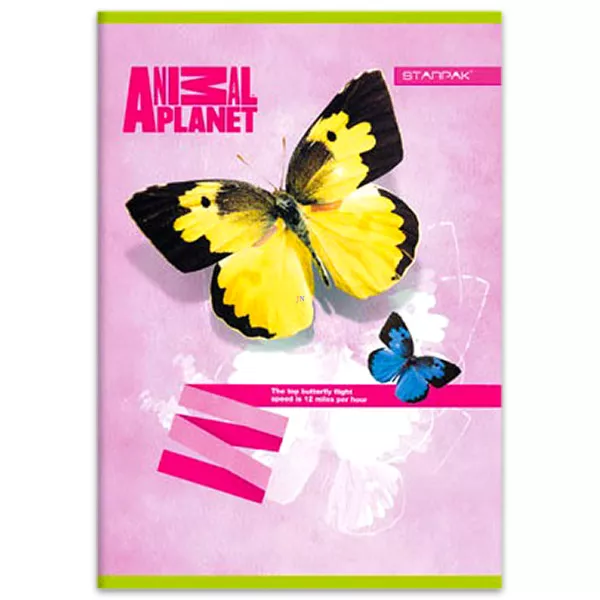 Animal Planet: pillangós négyzetrácsos füzet - A5-ös, 27-32