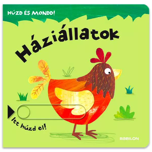 Trage şi spune! Animale domestice - carte în lb. maghiară