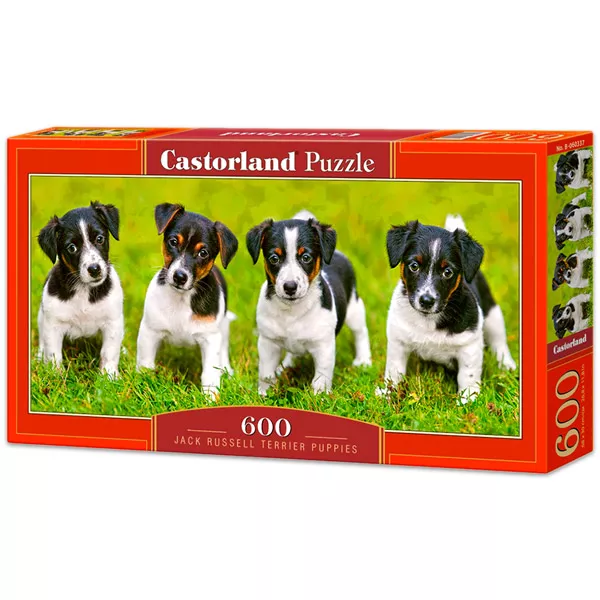 Castorland: Jack Russel kiskutyák 600 darabos panoráma puzzle
