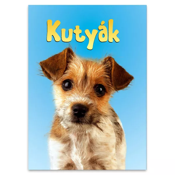 Biblioteca mică: Căini - carte educaţională în lb. maghiară