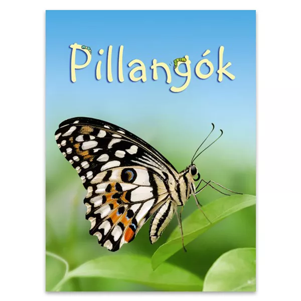 Biblioteca mică: Fluturi - carte educaţională în lb. maghiară
