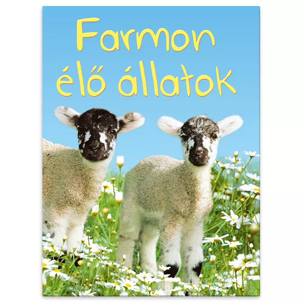 Biblioteca mică: Animale de fermă - carte educaţională în lb. maghiară