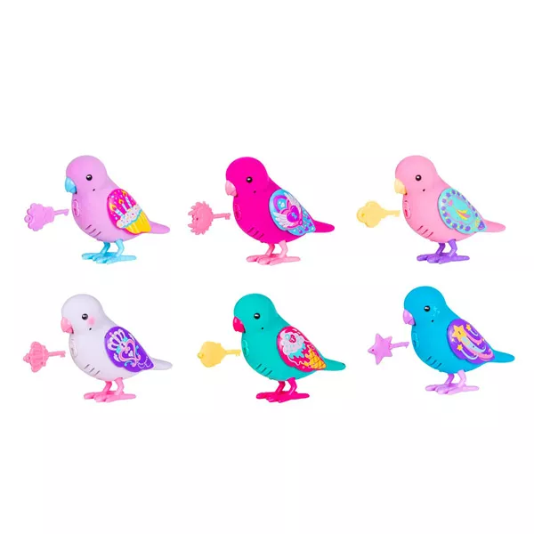 Tenyérnyi barátok: titkos énekes madarak - több színben