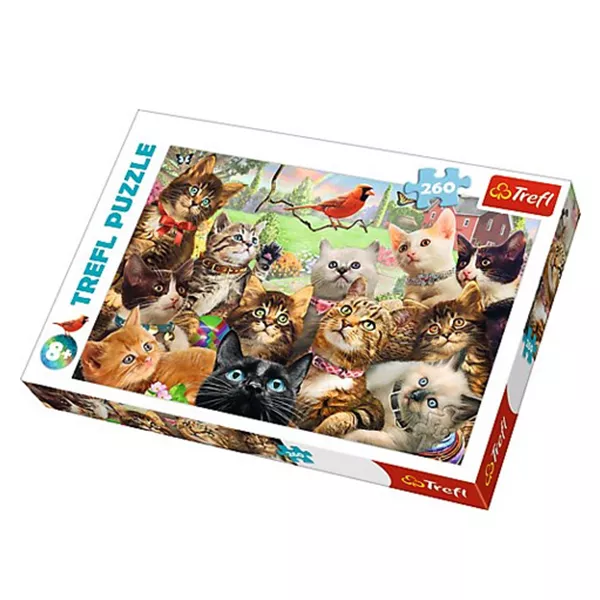 Trefl: Pisici - puzzle cu 260 piese