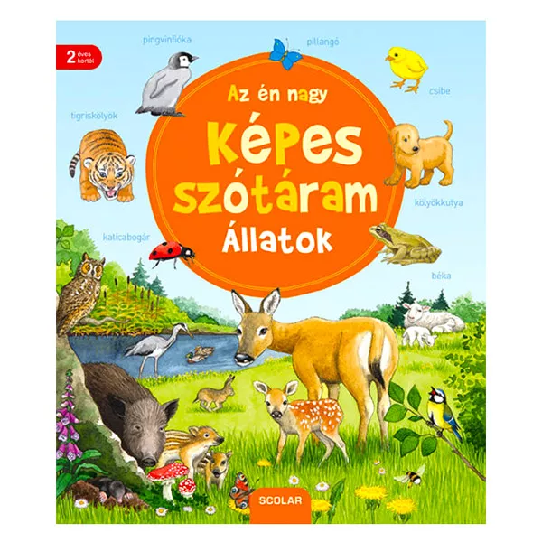 Dicţionarul meu ilustrat: animalele - carte în lb. maghiară