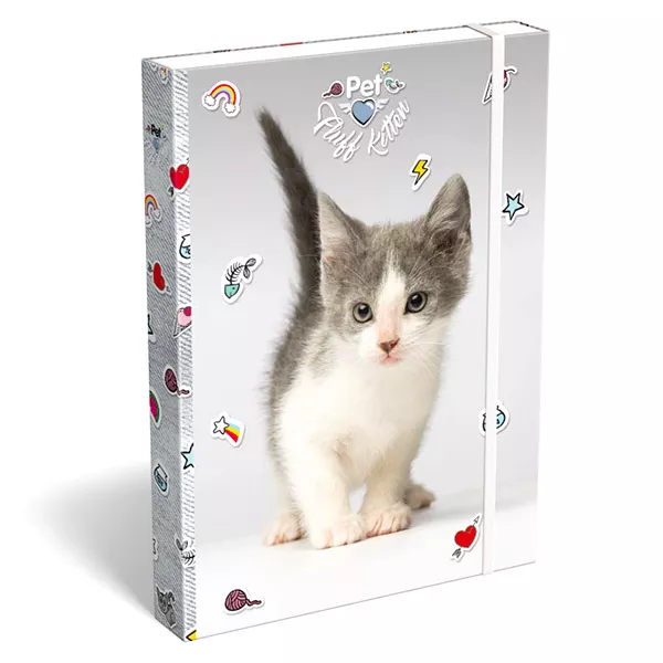 Pet cica mintás füzetbox - A4