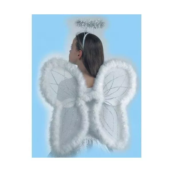 Aripi de îngeri - 48 x 46cm