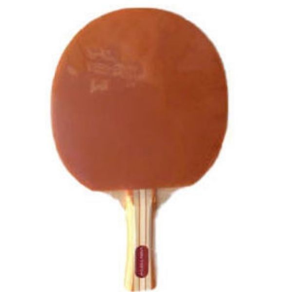 Vektory PaletÄƒ De Tenis De MasÄƒ Colorat DouÄƒ Feluri Tulli Ro