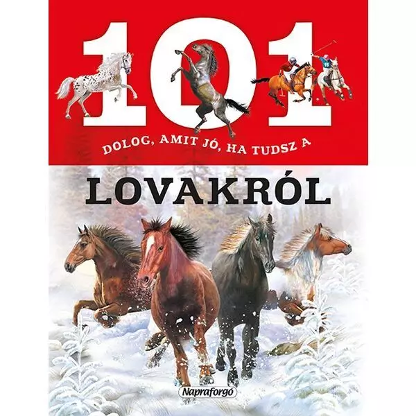 101 lucruri care este bine dacă știi despre cai - carte pentru copii în lb. maghiară