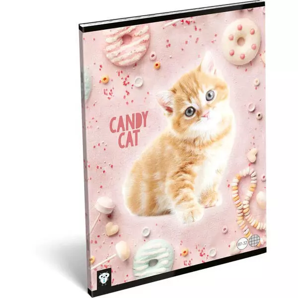 KIS BAGOLY: Candy Cat A4 négyzetrácsos füzet 