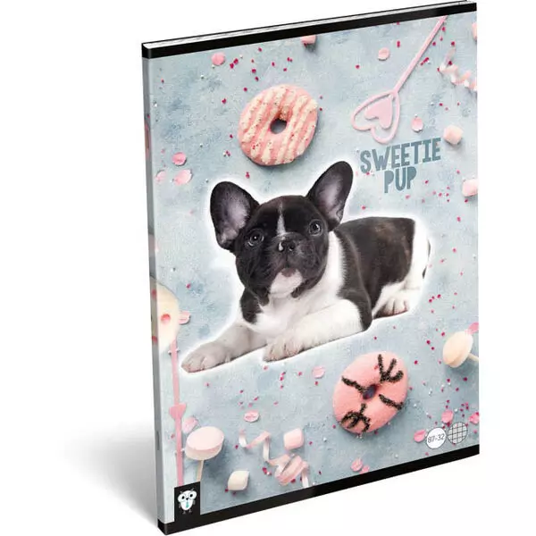 KIS BAGOLY: Sweetie dog A4 négyzetrácsos füzet 
