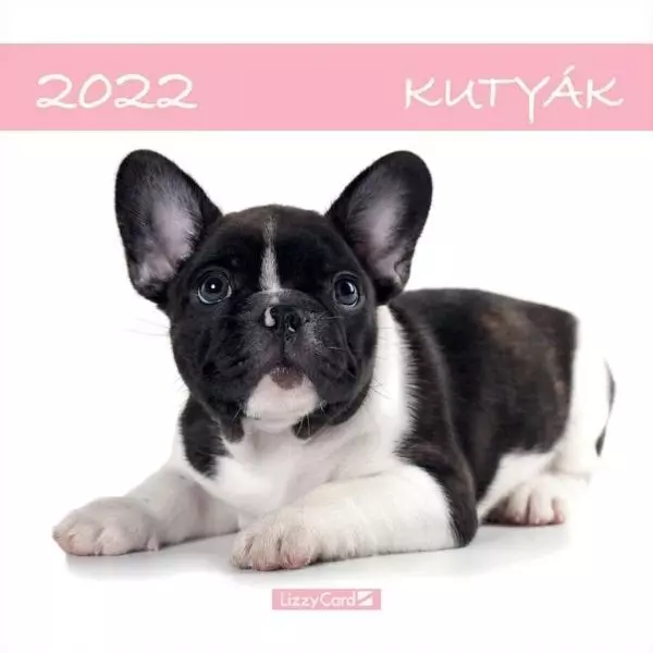 Falinaptár lemez: kutyák - 2022