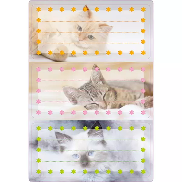 Herma: Etichete caiete cu model pisici