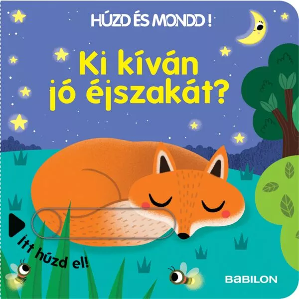 Cine îți dorește noapte bună? - carte pentru copii în lb. maghiară