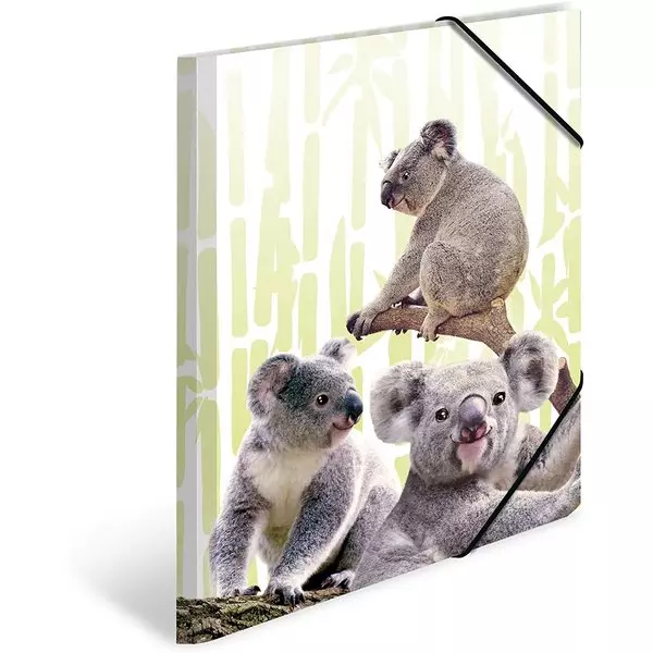 Herma: Familie de coala - mapă polipropilenă cu elastic