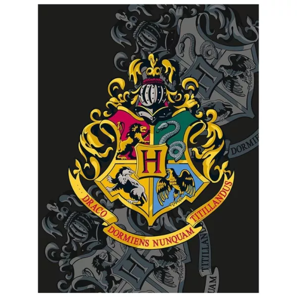 Harry Potter: Roxfort címer mintájú polár takaró - 130 x 170 cm