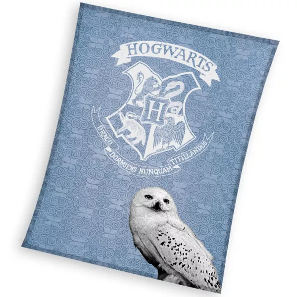 Harry Potter: Hedwig mintás polártakaró - 130 x 170 cm