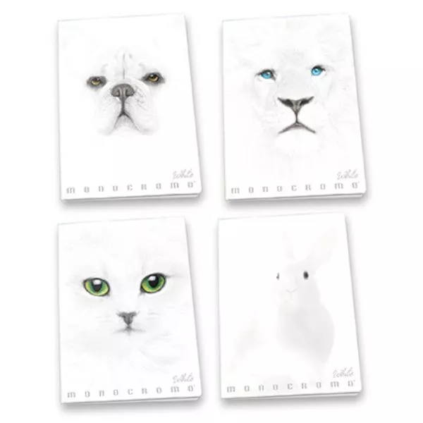 Pigna: Monocromo White vonalas füzet, A4 - többféle