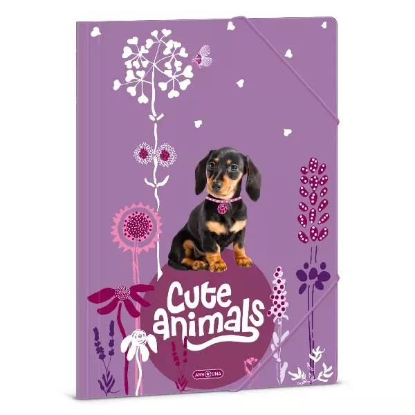 Cute Animals: Dosszié tacskó kutya mintával, A4