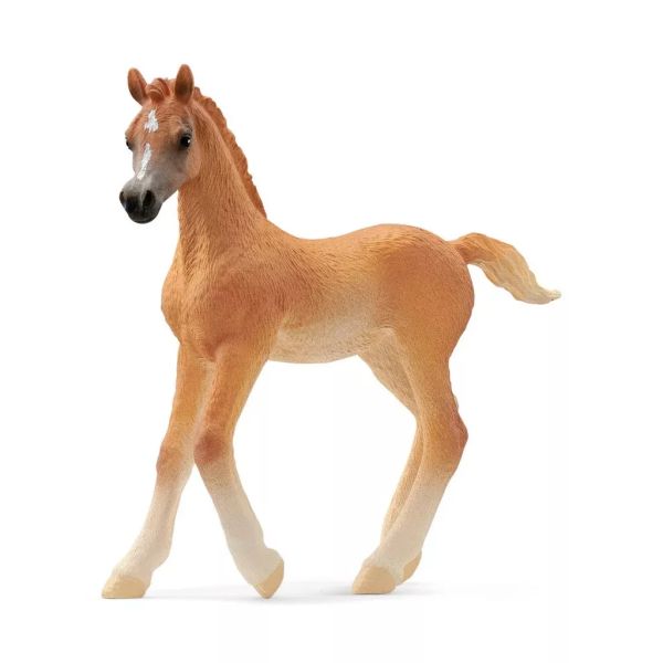 Schleich Horse Club: Arab csikó figura 13984