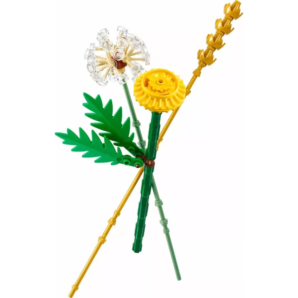 LEGO Botanicals: Mezei virágok 30701