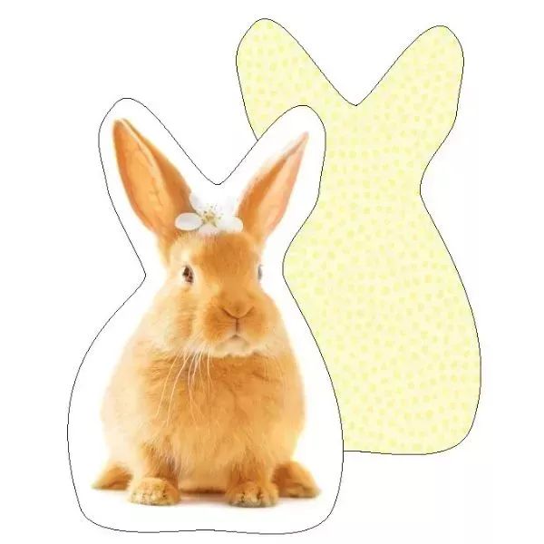 Nyuszi mintás formapárna