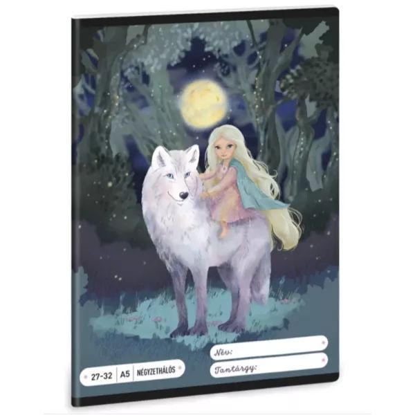 Northern Lights: négyzetrácsos füzet - A/5-ös