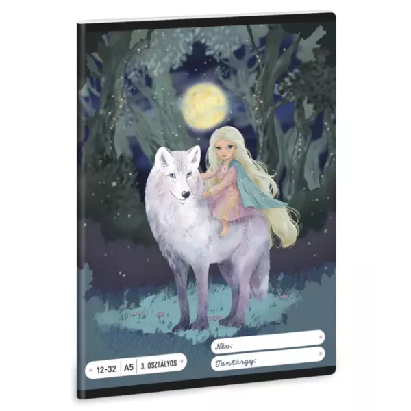 Northern Lights: Caiet tip liniar - clasa a III-a, format A5