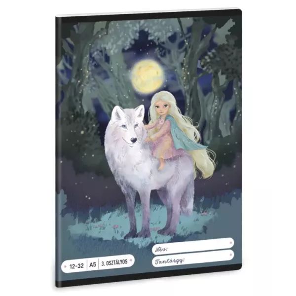 Northern Lights: Vonalas füzet - 3. osztályos, A/5-ös