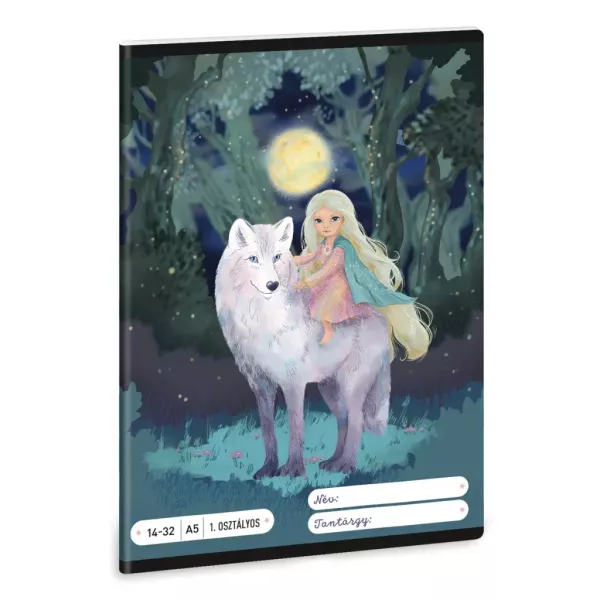 Northern Lights: Gelijnd schrift - groep 3, A5-formaat